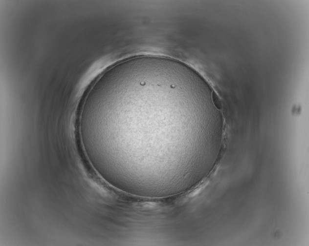 X0000097650151200803142117