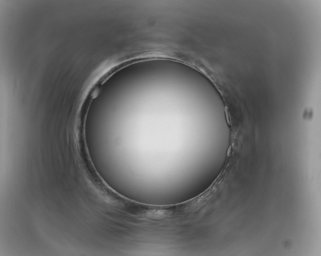 X0000097650152200803142117