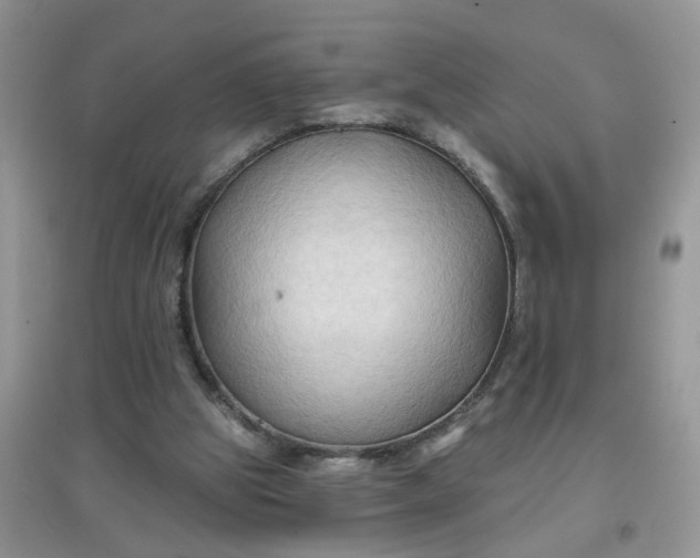 X0000097650153200803142117