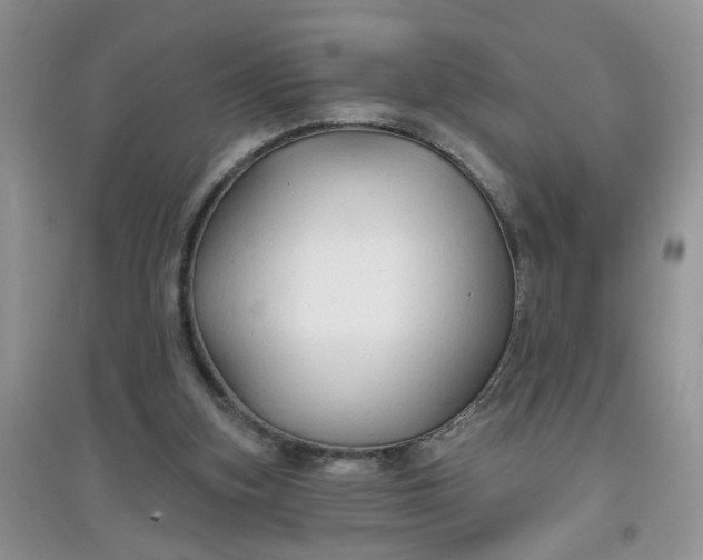 X0000097650155200803142117