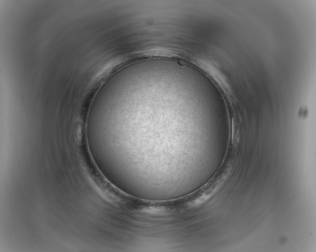 X0000097650157200803142117