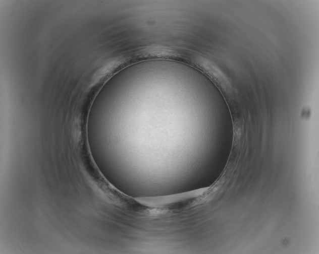 X0000097650158200803142117