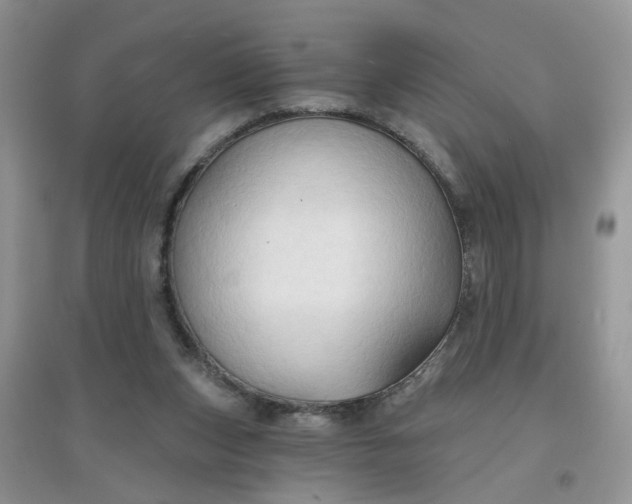 X0000097650159200803142117