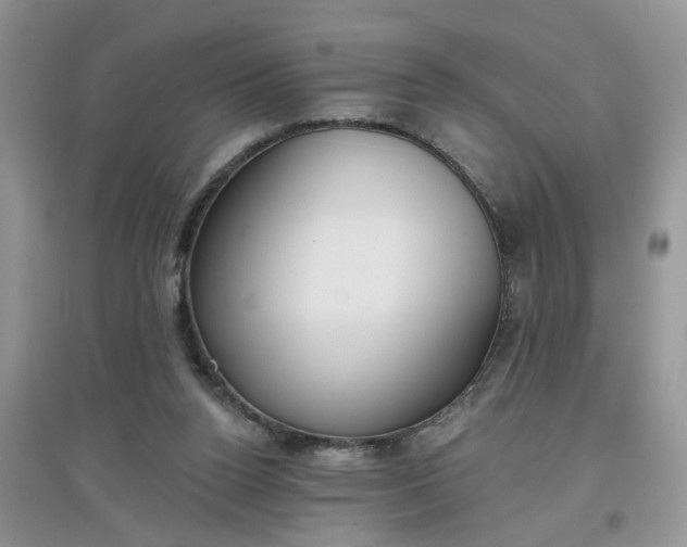 X0000097650160200803142117