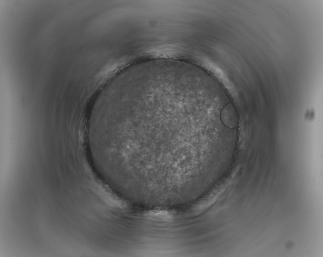 X0000097650161200803142117