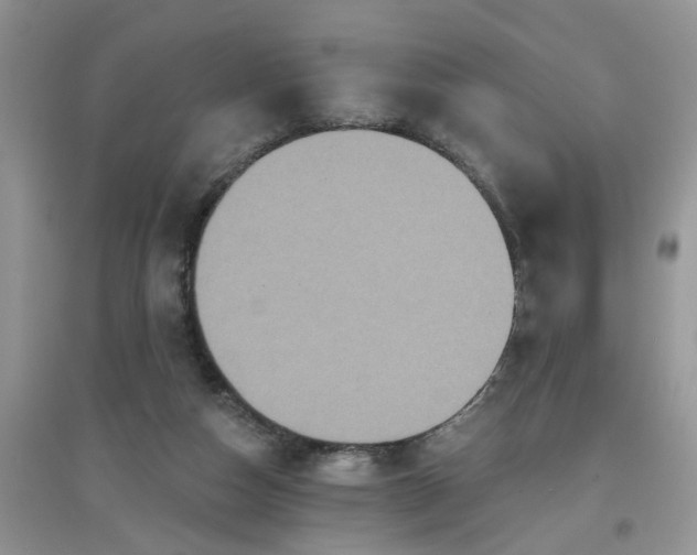 X0000097650162200803142117