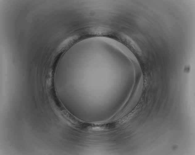 X0000097650163200803142117