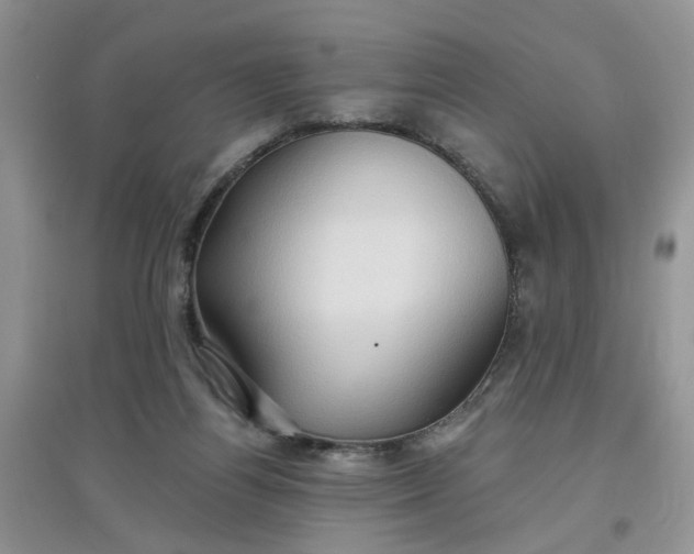 X0000097650164200803142117