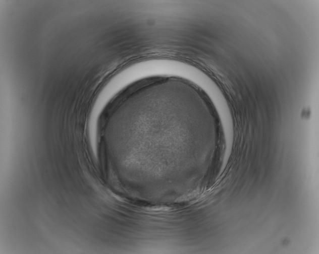 X0000097650168200803142117