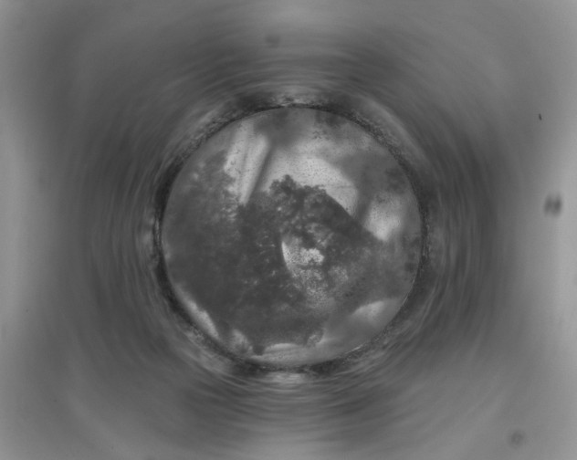 X0000097650169200803142118