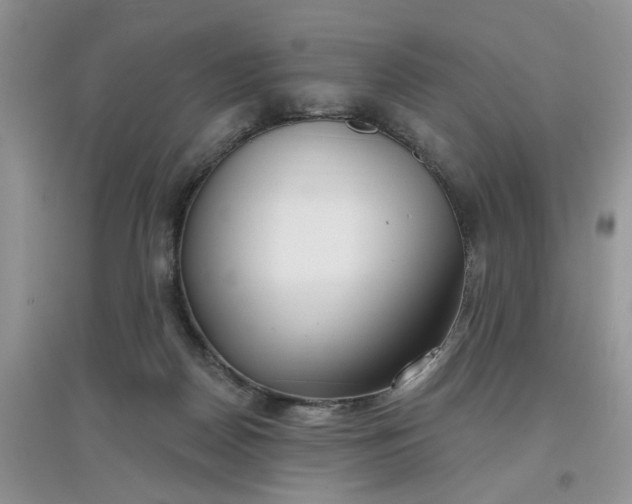 X0000097650170200803142118