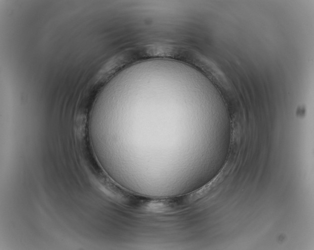 X0000097650171200803142118