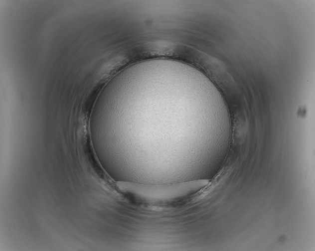 X0000097650172200803142118