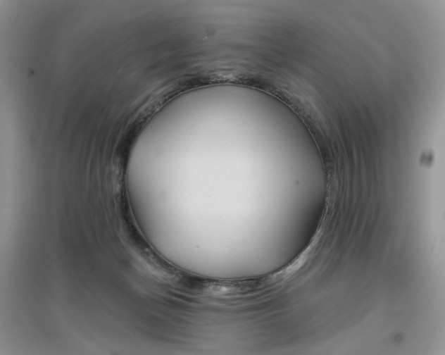 X0000097650174200803142118