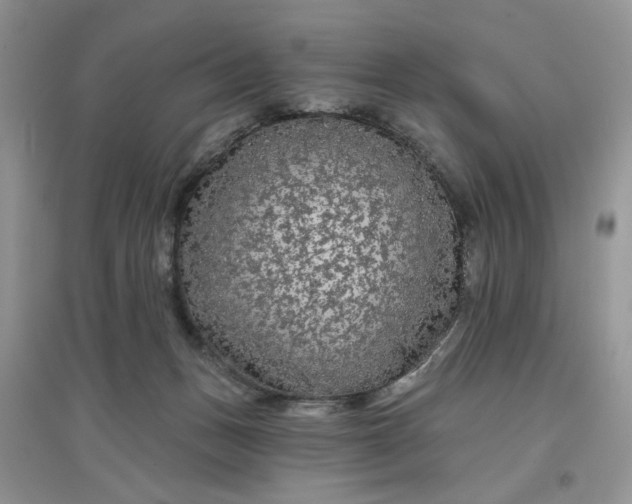 X0000097650175200803142118