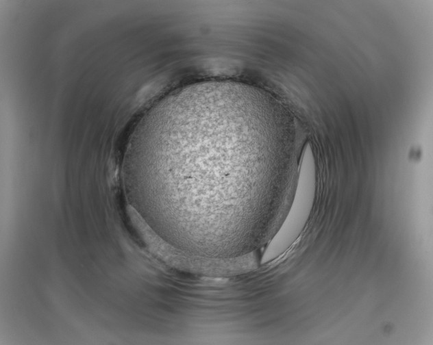 X0000097650176200803142118