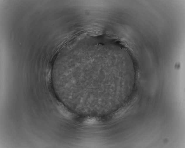 X0000097650177200803142118