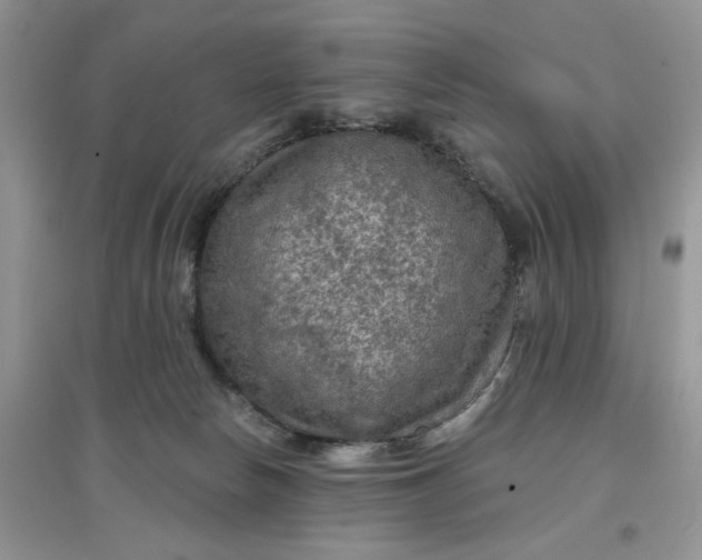 X0000097650178200803142118