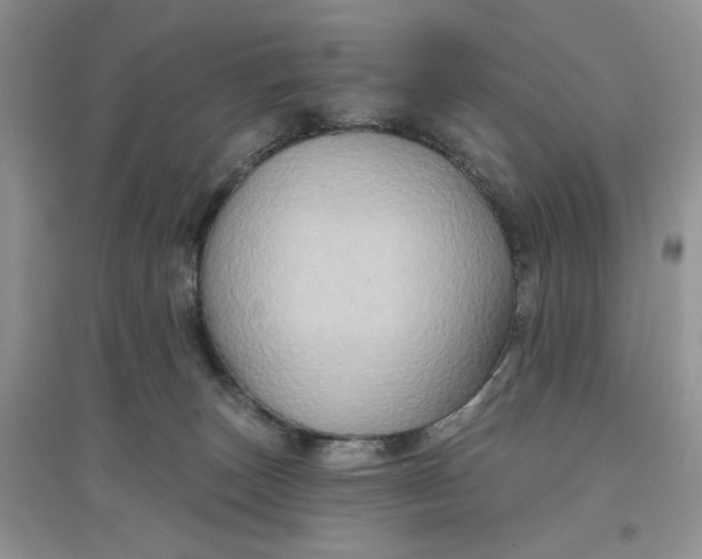 X0000097650179200803142118