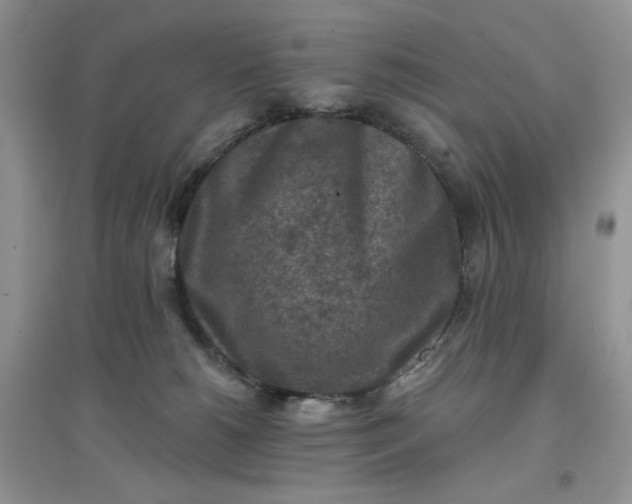 X0000097650180200803142118