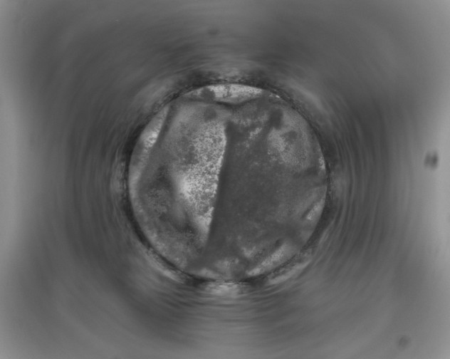 X0000097650181200803142118