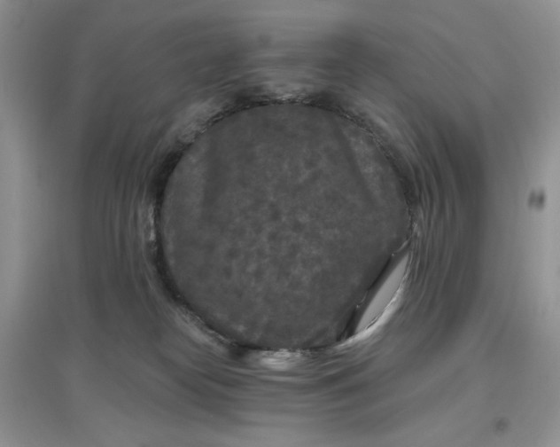 X0000097650182200803142118