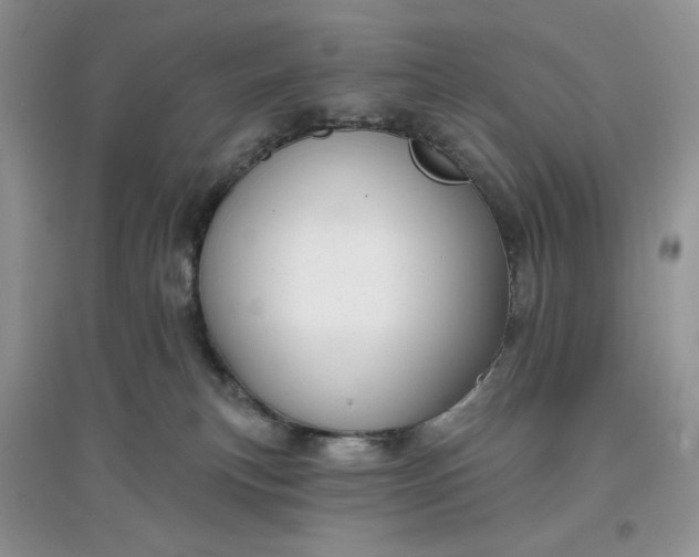 X0000097650183200803142118