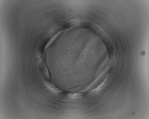 X0000097650186200803142118