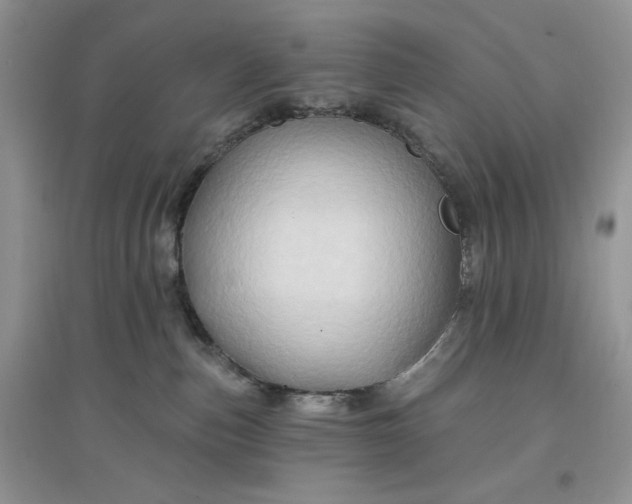 X0000097650187200803142118