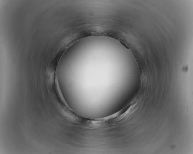 X0000097650188200803142118