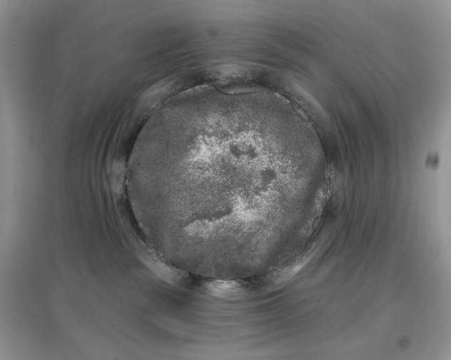 X0000097650189200803142118