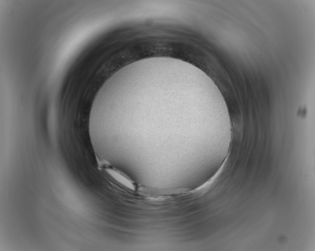 X0000097650190200803142118