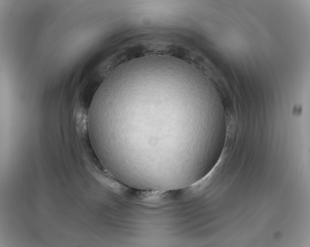 X0000097650191200803142118