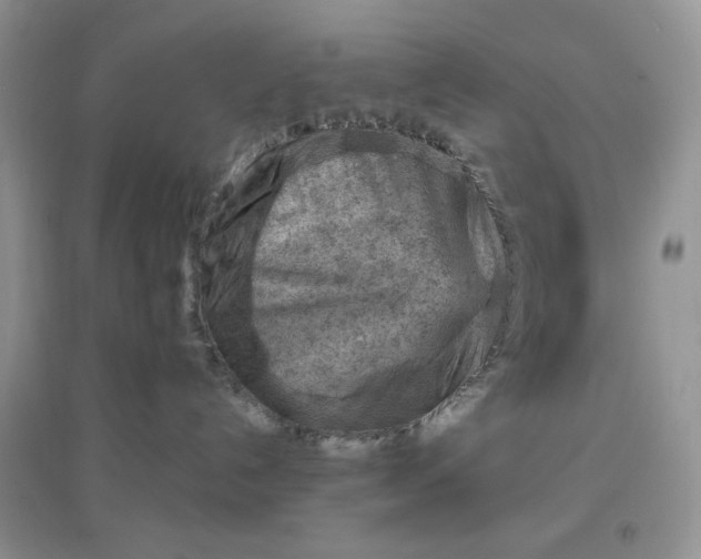 X0000097650192200803142118