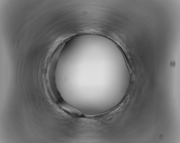 X0000097650193200803142117