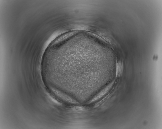 X0000097650195200803142117