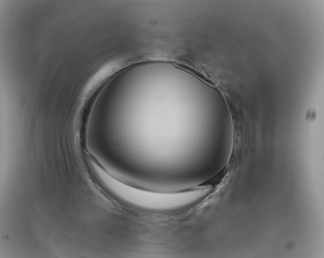 X0000097650197200803142117