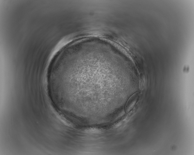 X0000097650198200803142117