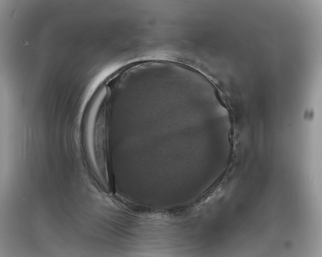 X0000097650200200803142117