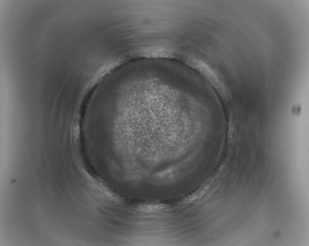 X0000097650202200803142117