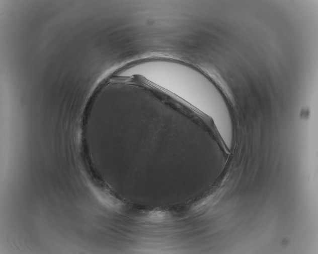 X0000097650204200803142117