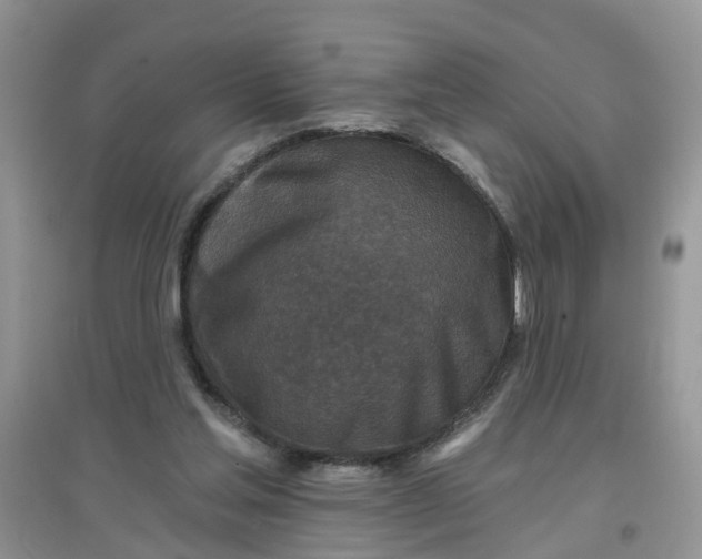 X0000097650205200803142117