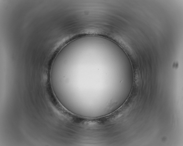 X0000097650208200803142117