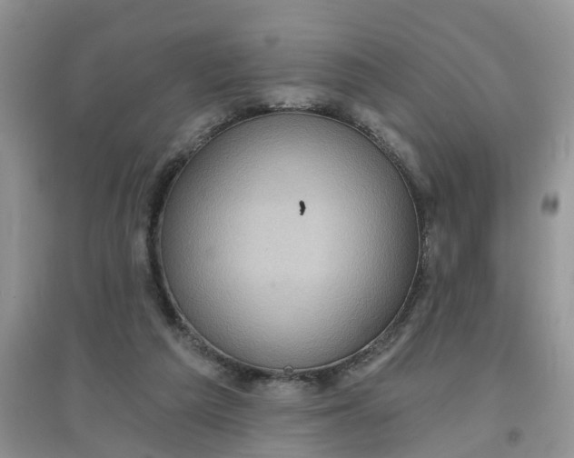 X0000097650209200803142117