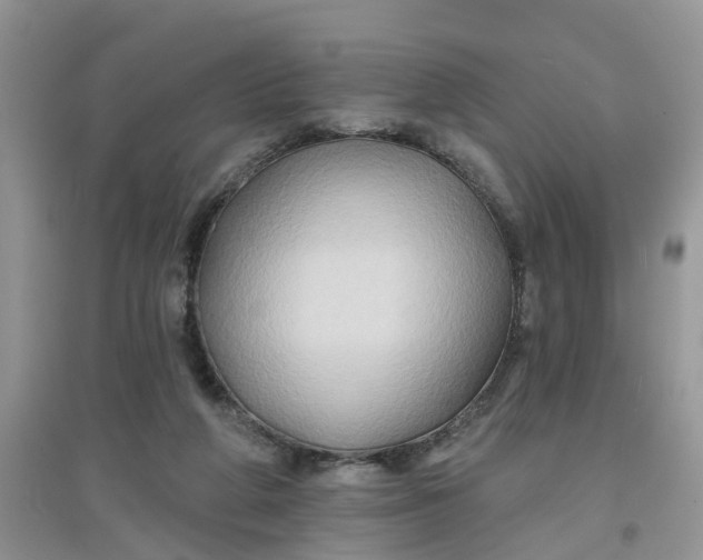 X0000097650210200803142117