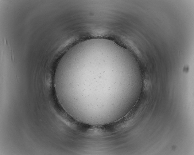 X0000097650211200803142117