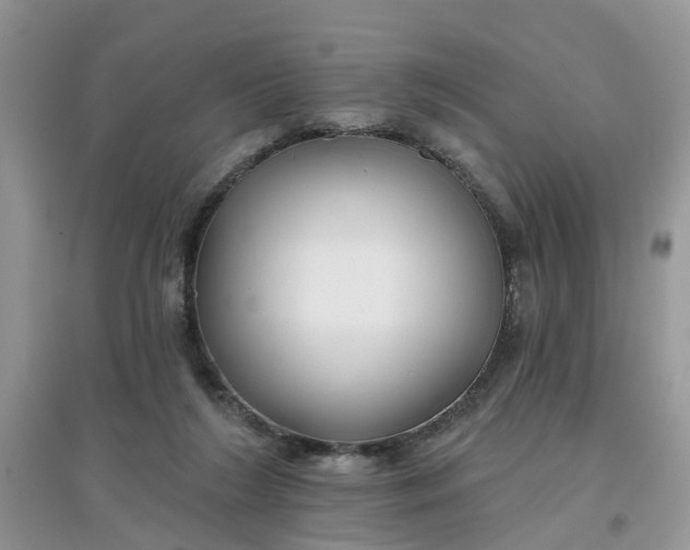 X0000097650212200803142117