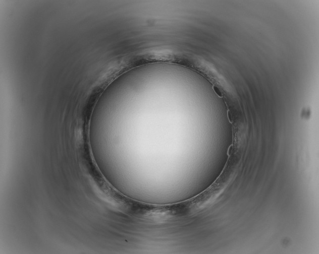 X0000097650213200803142117