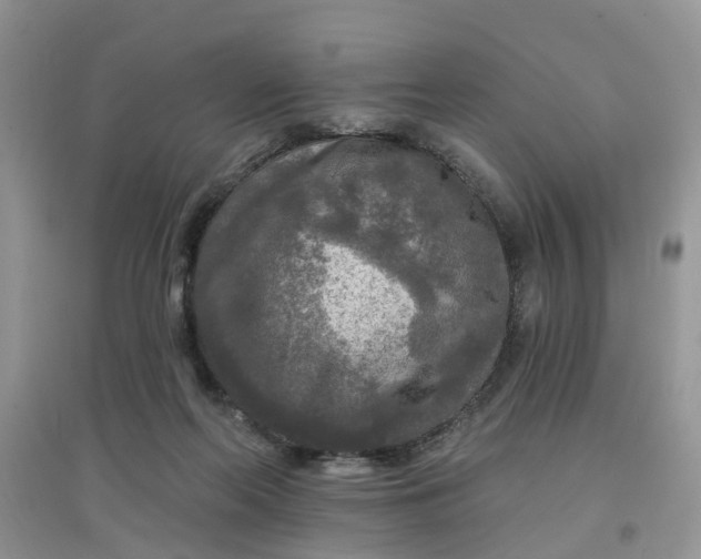 X0000097650214200803142117