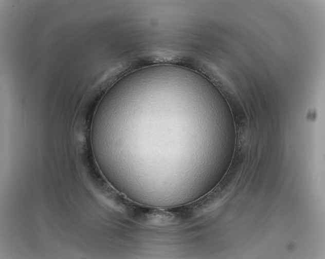 X0000097650215200803142117